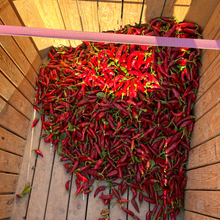 Load image into Gallery viewer, Harvested paprika chilis from Burlap &amp; Barrel
