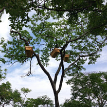 Load image into Gallery viewer, Hives for wild woodland bees in Tanzania from Burlap &amp; Barrel
