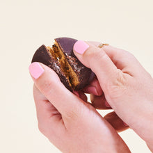 Load image into Gallery viewer, French Squirrel Berets: Peanut Butter Chocolate Protein Bites Pack - 12 Packs x 1 Piece case
