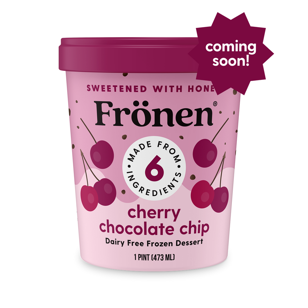 Fronen Cherry Chocolate Chip Ice Cream, Vegan Pint