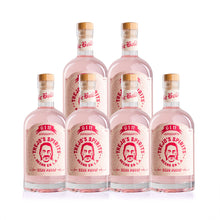 Load image into Gallery viewer, Trejo&#39;s Spirits Pink Gin Alternative by Trejo&#39;s Spirits
