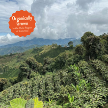 Load image into Gallery viewer, Howler | Decaf Single Origin | Colombia | Sugarcane EA Decaffeinated (Wholesale)
