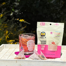 Load image into Gallery viewer, Vodka Soda Infusion Kit – Sugar Free Travel Cocktail Tea Bags
