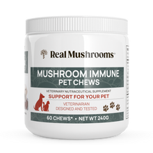 Load image into Gallery viewer, Mushroom Immune Pet Chews by Real Mushrooms
