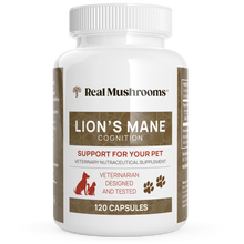 Load image into Gallery viewer, Organic Lions Mane Extract Capsules for Pets by Real Mushrooms
