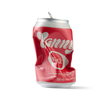 Load image into Gallery viewer, Nonny Czech Pilsner cans - 24 cans x 355mL case
