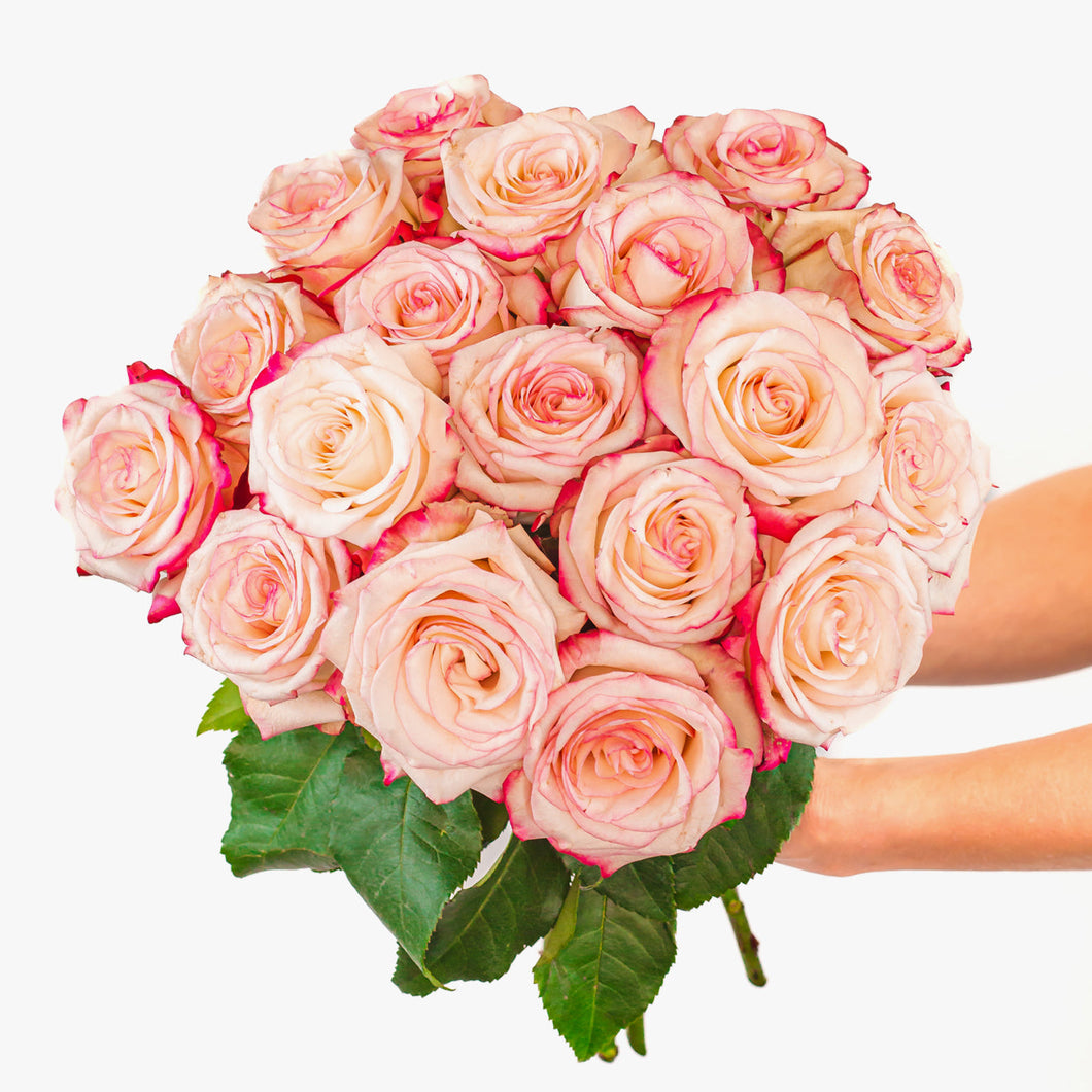 Pink Roses - 12 count