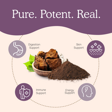 Load image into Gallery viewer, Organic Chaga Extract Powder by Real Mushrooms
