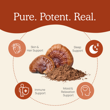 Load image into Gallery viewer, Organic Reishi Mushroom Capsules by Real Mushrooms
