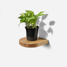 Load image into Gallery viewer, Formr Rainbow plant shelf
