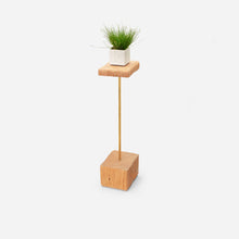 Load image into Gallery viewer, Formr Stem plant holder
