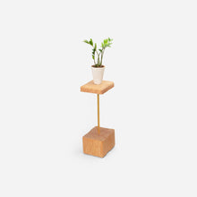 Load image into Gallery viewer, Formr Stem plant holder
