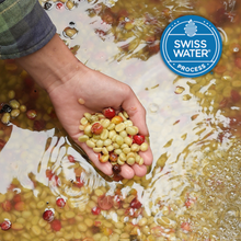 Load image into Gallery viewer, Lil&#39; Red | Decaf Single Origin | Colombia | Swiss Water Press Decaffeinated (Wholesale)
