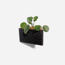 Load image into Gallery viewer, Formr Triangle self-watering, wall-mounted planter
