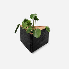 Load image into Gallery viewer, Formr Triangle self-watering, wall-mounted planter
