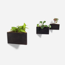 Load image into Gallery viewer, Formr Triangle self-watering, wall-mounted planter
