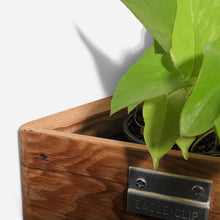 Load image into Gallery viewer, Formr Triangle self-watering, wall-mounted planter
