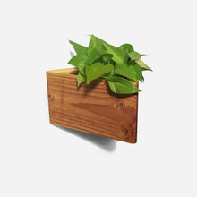 Load image into Gallery viewer, Formr Triangle self-watering, wall-mounted planter
