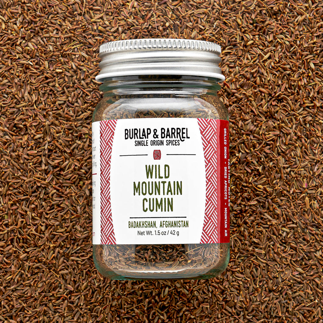 Wild Mountain Cumin