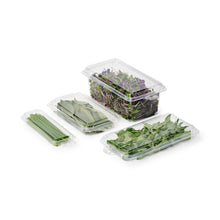 Load image into Gallery viewer, 0.5 oz. Top Seal Hanging Fresh Herb &amp; Microgreen Package (0321)
