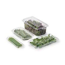 Load image into Gallery viewer, 0.5 oz. Top Seal Hanging Fresh Herb &amp; Microgreen Package (0321)
