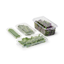 Load image into Gallery viewer, 0.5 oz. Top Seal Hanging Fresh Herb &amp; Microgreen Package (0321)
