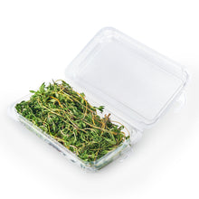 Load image into Gallery viewer, 0.5 oz. Top Seal Hanging Fresh Herb &amp; Microgreen Package (0321)
