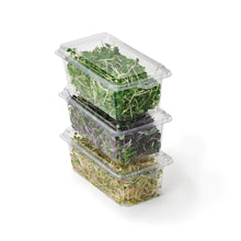 Load image into Gallery viewer, 2 - 3 oz. Hanging Herb or Microgreen Package (0412)
