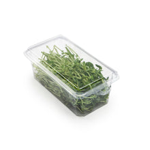 Load image into Gallery viewer, 2 - 3 oz. Hanging Herb or Microgreen Package (0412)
