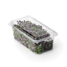 Load image into Gallery viewer, 2 - 3 oz. Hanging Herb or Microgreen Package (0412)
