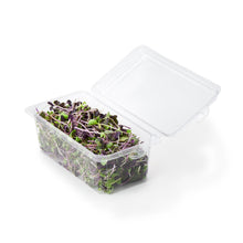 Load image into Gallery viewer, 2 - 3 oz. Hanging Herb or Microgreen Package (0412)
