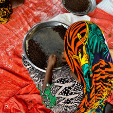 Load image into Gallery viewer, Woman in Zanzibar sorting Cloves
