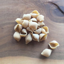 Load image into Gallery viewer, Pastificio Boulder Conchiglie Pasta Box - 6 boxes x 16oz case
