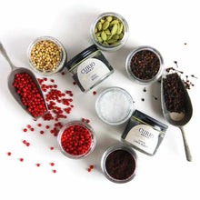 Load image into Gallery viewer, Elevated Essentials scattering of spices with a top-down view of spices in the set
