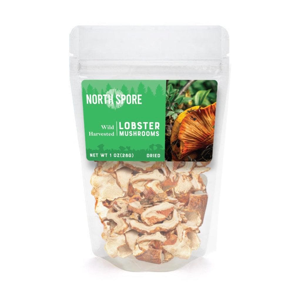 North Spore Dried Wild Lobster Mushrooms