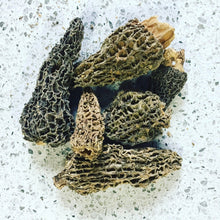 Load image into Gallery viewer, North Spore Dried Wild Morel Mushrooms
