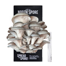 Load image into Gallery viewer, North Spore Organic Blue Oyster ‘Spray &amp; Grow’ Mushroom Growing Kit
