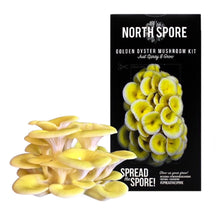 Load image into Gallery viewer, North Spore Organic Golden Oyster ‘Spray &amp; Grow’ Mushroom Growing Kit
