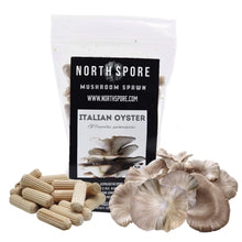 Load image into Gallery viewer, North Spore Organic Italian Oyster Mushroom Plug Spawn
