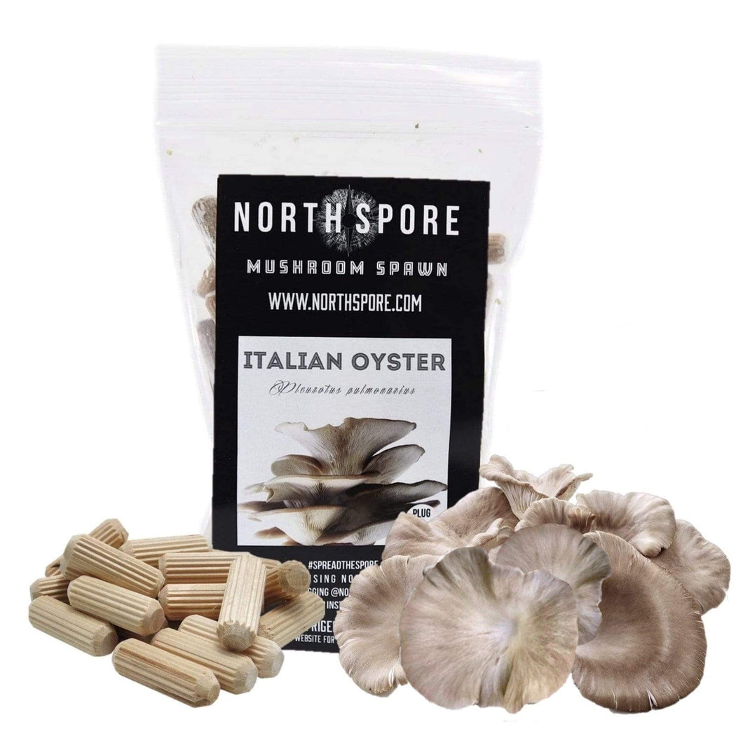 North Spore Organic Italian Oyster Mushroom Plug Spawn