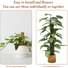 Load image into Gallery viewer, Bumble Plants Coco Coir Climbing Pole
