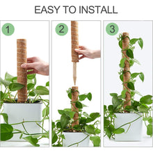 Load image into Gallery viewer, Bumble Plants Coco Coir Climbing Pole
