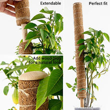 Load image into Gallery viewer, Bumble Plants Coco Coir Climbing Pole

