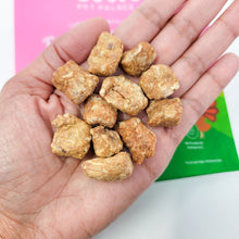 Load image into Gallery viewer, Ava&#39;s Pet Palace Freeze Dried Dog Treats Bag - Turkey Poppers
