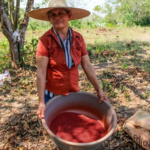Load image into Gallery viewer, Image of a woman in a red button-up and sunhat harvesting annatto.
