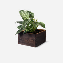 Load image into Gallery viewer, Formr Diamond self-watering, wall-mounted planter
