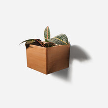 Load image into Gallery viewer, Formr Diamond self-watering, wall-mounted planter
