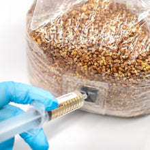 Load image into Gallery viewer, North Spore Organic Sterilized Grain Bag with Injection Port
