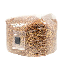 Load image into Gallery viewer, North Spore Organic Sterilized Grain Bag with Injection Port
