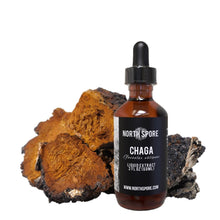 Load image into Gallery viewer, North Spore Chaga Mushroom Tincture
